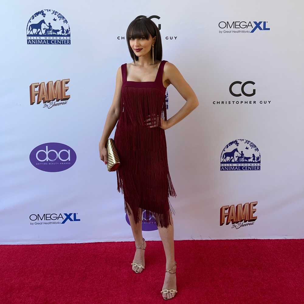 Burgundy Fridge Dress